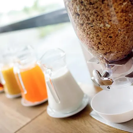 فندق Hotel Wassenaar فاسّينار